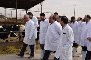 استفاده اعتاب کشور عراق از الگوهای آستان قدس رضوی در ایجاد مؤسسات تولیدی
