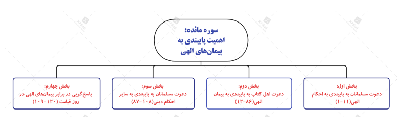 نگاهی کلی به مهم ترین موضوعات و ساختار سوره های جزء ششم قرآن کریم 