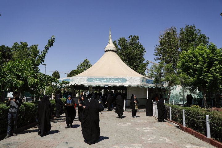 خدمت خادمیاران بوشهری در حرم مطهر رضوی