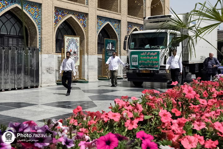 گل‌آرایی بارگاه ملکوتی رضوی با ۵۰۰ هزار شاخه و بوته گل اهدایی
