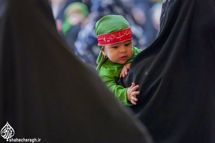 سوگواره «شیرخوارگان حسینی» در حرم مطهر حضرت شاهچراغ علیه السلام