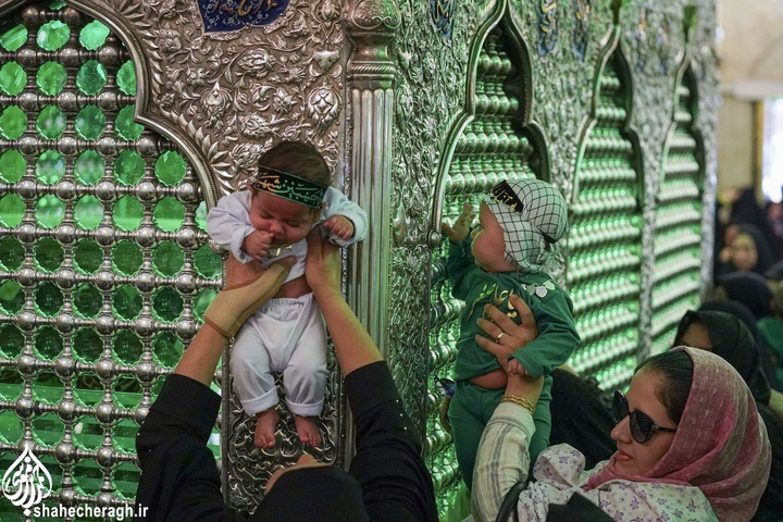 سوگواره «شیرخوارگان حسینی» در حرم مطهر حضرت شاهچراغ علیه السلام