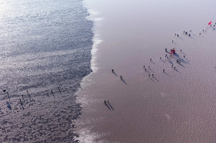 آغاز «پیادهروی اربعین» در بین بهترین عکسهای هفته گاردین آغاز «پیادهروی اربعین» در بین بهترین عکسهای هفته گاردین