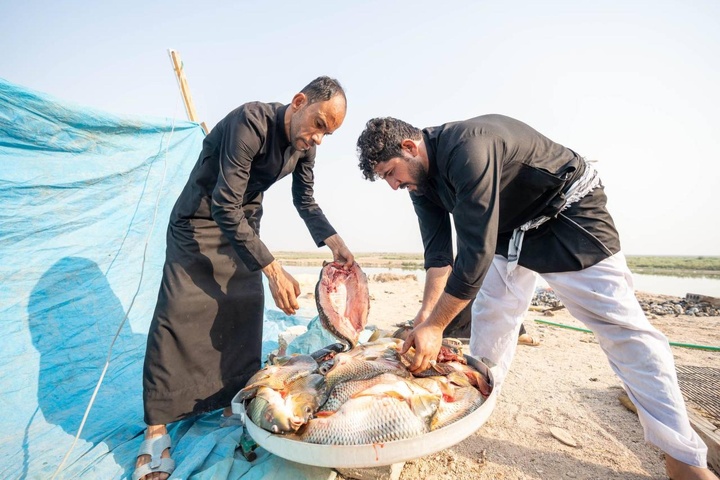 مشاهد من وصول زائري الأربعين إلى محافظة ذي قار
