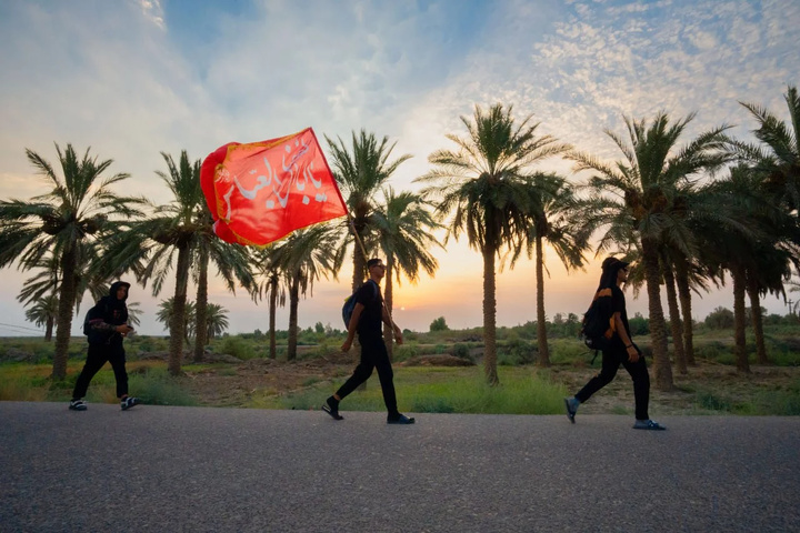 راهپیمایی اربعین در بین نخلستان‌ها