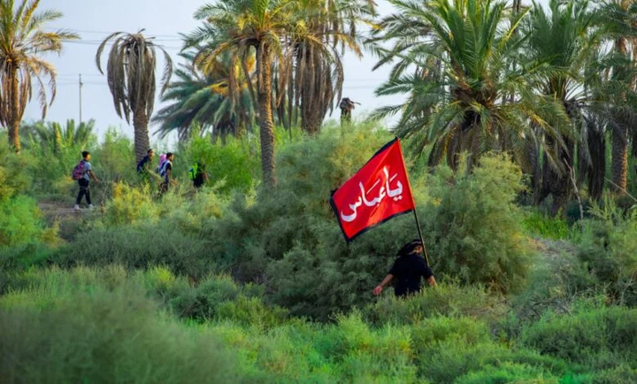 راهپیمایی اربعین در بین نخلستان‌ها