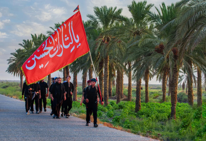 راهپیمایی اربعین در بین نخلستان‌ها