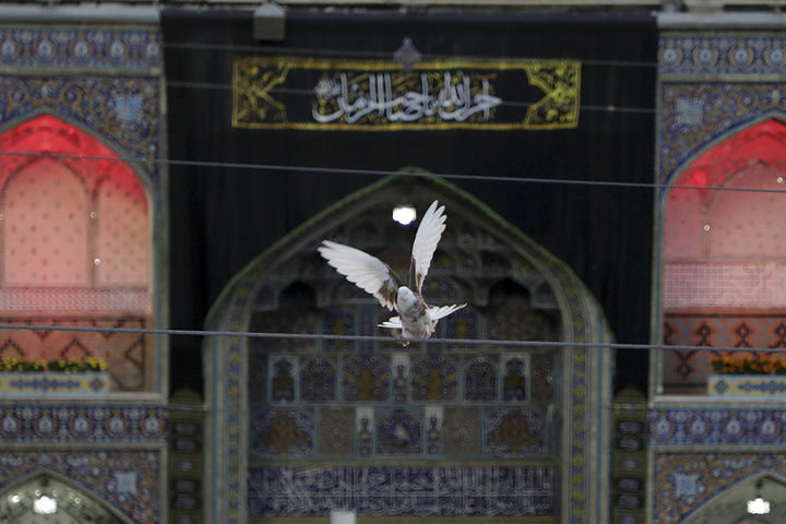 حرم مطهررضوی درشب رحلت حضرت رسول صلی الله وشهادت امام حسن مجتبی علیه السلام