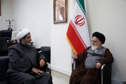 دیدار معاون امور بین‌الملل آستان قدس رضوی با نماینده ولی فقیه در عراق