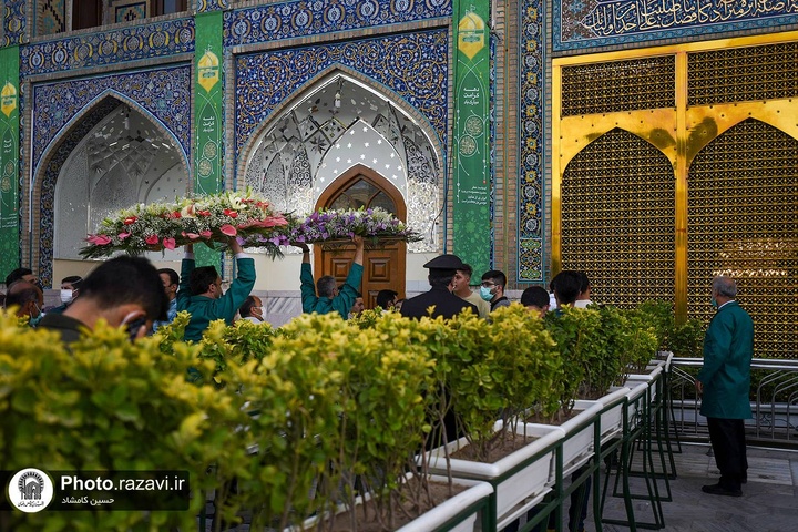 گلآرایی صحن و سرای رضوی با ۲۰ هزار بوته و شاخه گل اهدایی گلآرایی صحن و سرای رضوی با ۲۰ هزار بوته و شاخه گل اهدایی