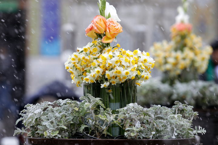 بارش زیبای برف در حرم امام هشتم علیه السلام