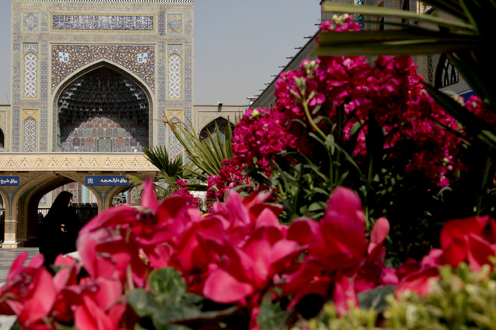 بهار در حرم رضوی