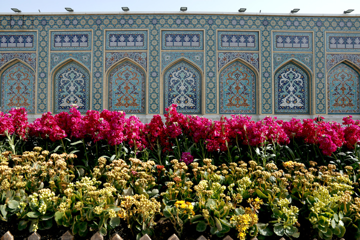 بهار در حرم رضوی