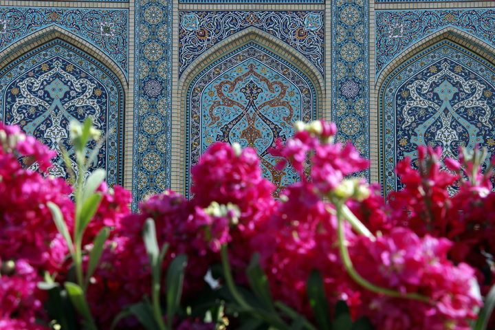 بهار در حرم رضوی