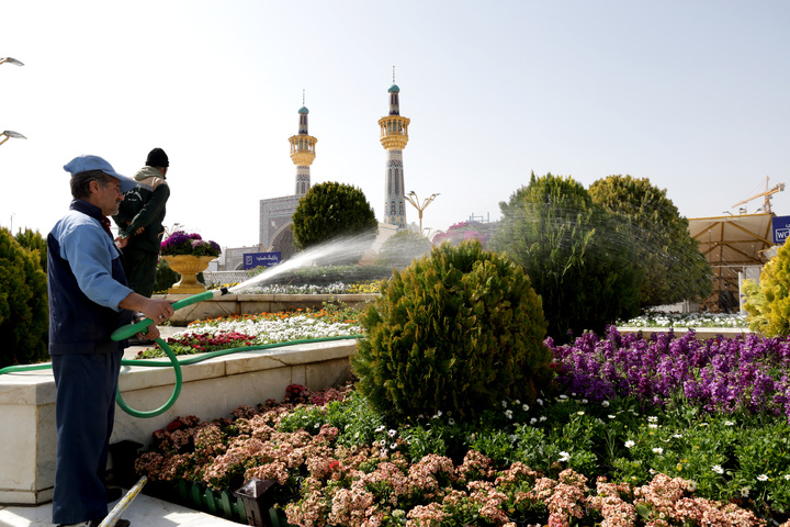 بهار در حرم رضوی