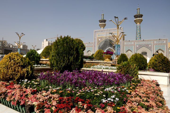 بهار در حرم رضوی