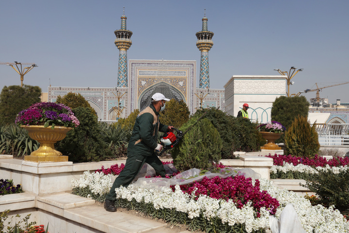 بهار در حرم رضوی