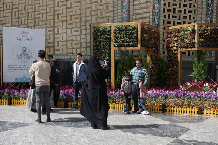 بهار در حرم رضوی