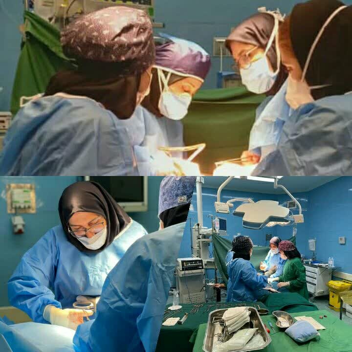 خادمی امام رضا(ع) را در طواف کعبه از خدا طلب کردم