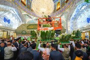 گل آرایی ضریح مطهر امام علی علیه السلام به مناسبت ولادت امام رضا علیه السلام