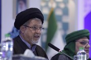 اقوام متحدہ میں انسانی حقوق کا منشور نسل کشی کو روکنے سے قاصر ہے؛سعید رضا عاملی