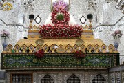 گل آرایی ضریح مطهر امامین جوادین(ع) به مناسبت ولادت امام رضا(ع)