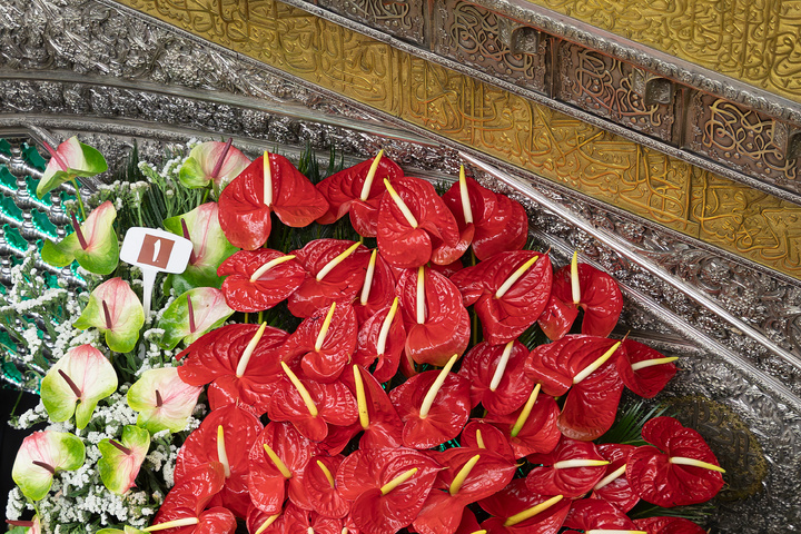 Imam Reza shrine adorned with flowers for Karamat Ten-Day Celebrations