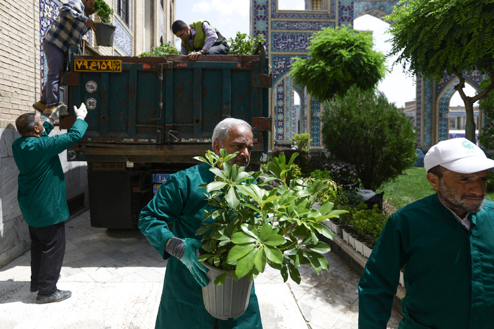 Donated flower caravan arrives at Imam Reza Shrine