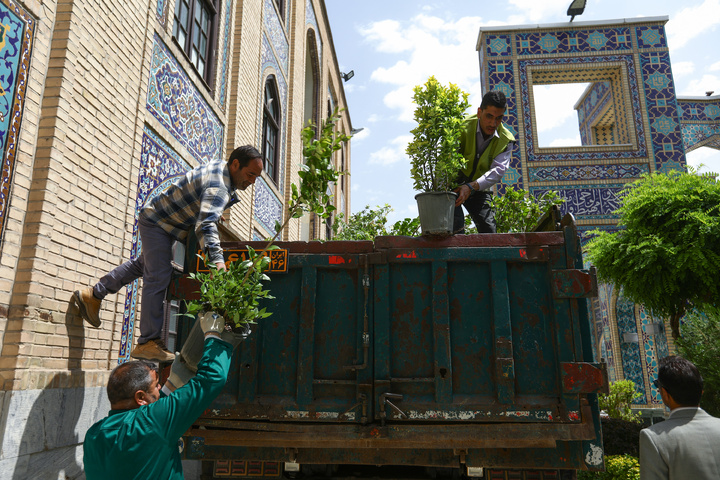 Donated flower caravan arrives at Imam Reza Shrine