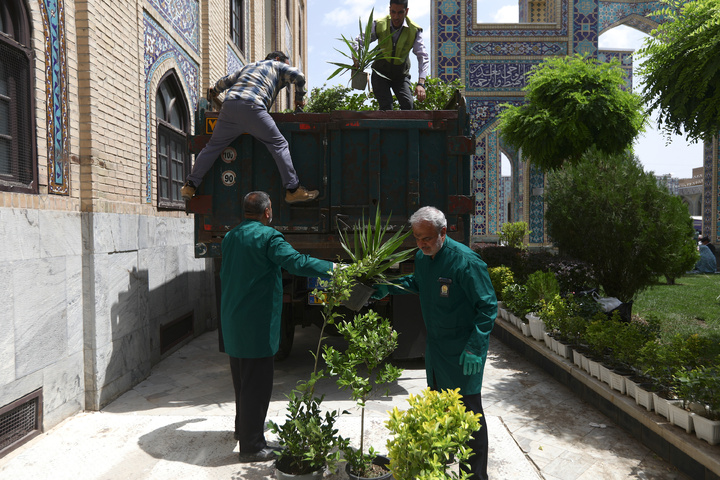 Donated flower caravan arrives at Imam Reza Shrine