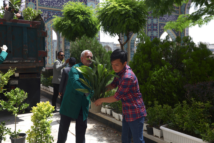 Donated flower caravan arrives at Imam Reza Shrine