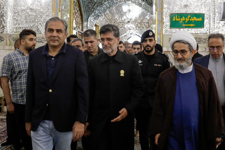 پاکستان کے وفاقی وزیر داخلہ کی حرم امام رضا(ع) میں حاضری