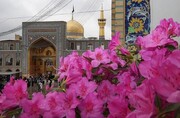 Imam Reza Shrine adorned for Eid al-Adha, Imamate Ten-Day Celebrations