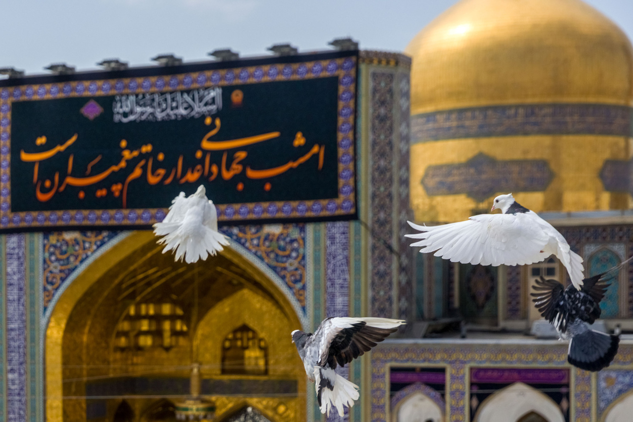 کتیبه آرایی اماکن متبرکه رضوی در دهه پایانی ماه صفر