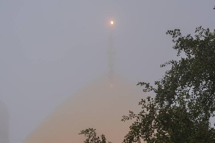 حال و هوای خاص حرم مطهر امامین عسکریین علیهم السلام