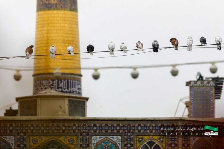 بارش باران بهاری در حرم مطهر رضوی