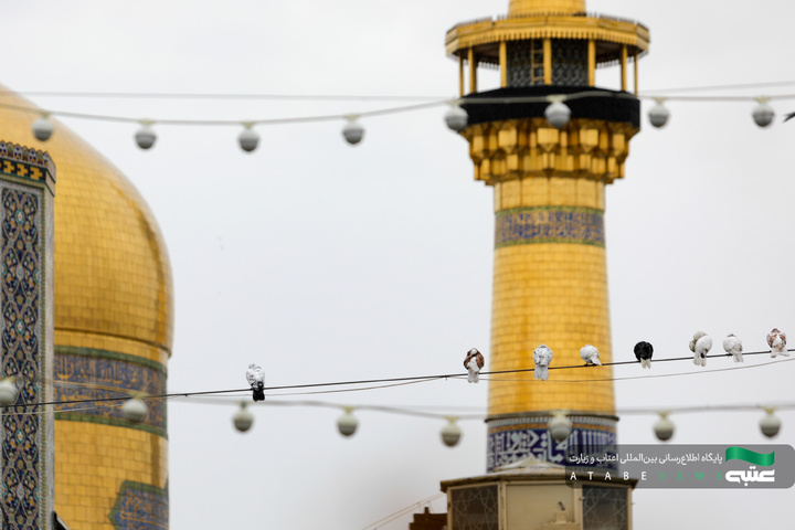 بارش باران بهاری در حرم مطهر رضوی