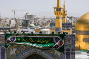 کتیبه‌های کرامت بر دیوارهای نور ؛ حرم رضوی آماده جشن های دهه کرامت