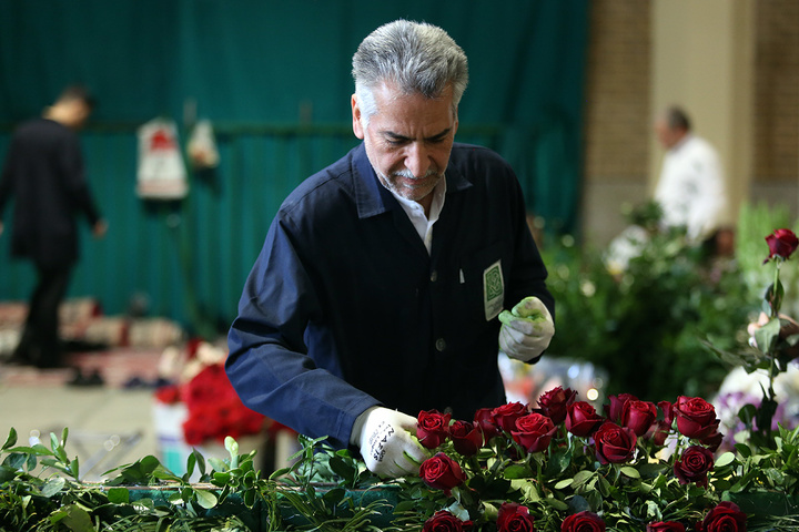 1 گل‌آرایی ضریح مطهر حرم حضرت معصومه (س) در آستانه آغاز دهه کرامت