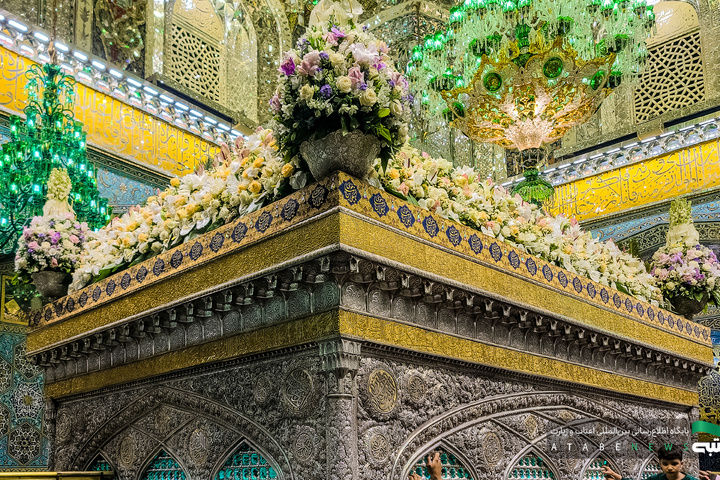 گل آرایی ضریح مطهر رضوی در دهه کرامت