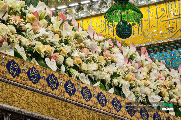 گل آرایی ضریح مطهر رضوی در دهه کرامت