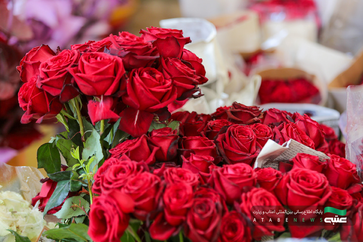 آماده‌سازی گل‌های حرم مطهر رضوی در دهه کرامت