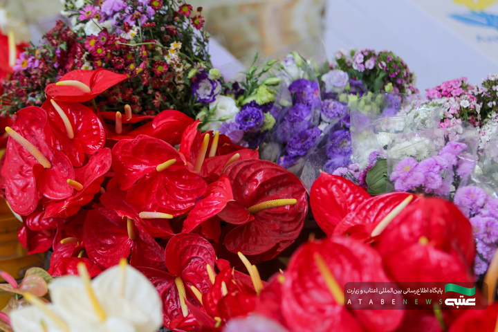 آماده‌سازی گل‌های حرم مطهر رضوی در دهه کرامت
