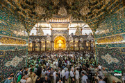 عرفه در حرم سیدالشهدا(علیه السلام)