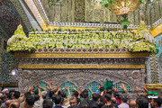 گل‌آرایی ضریح مطهر امام رضا(ع) به مناسبت عید غدیر
