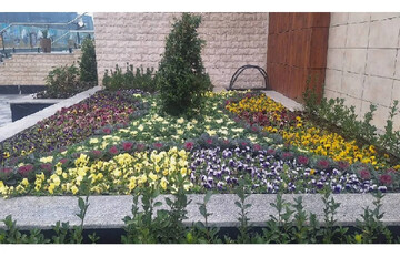 روزی برای زمین، نگاهی برای زندگی؛ توجه بیمارستان رضوی به فضای سبز