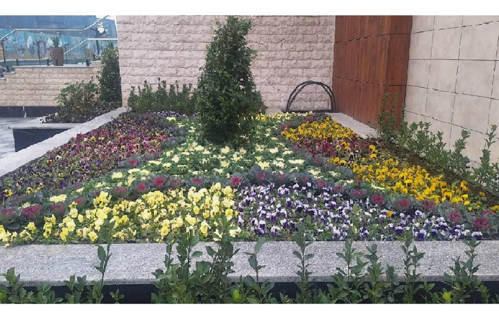 روزی برای زمین، نگاهی برای زندگی؛ توجه بیمارستان رضوی به فضای سبز