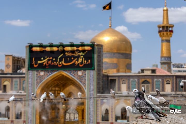 کتیبه‌آرایی حرم مطهر رضوی در آستانه دهه پایانی ماه صفر