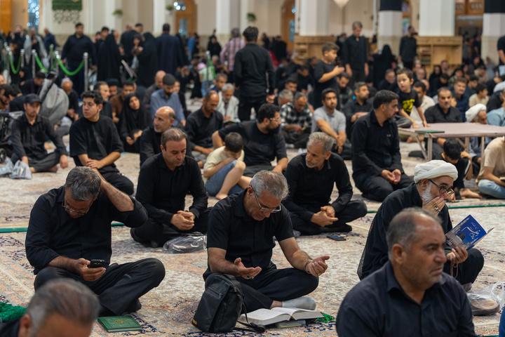 قرائت زیارت حضرت رسول(ص) از بعید در حرم حضرت معصومه(س)