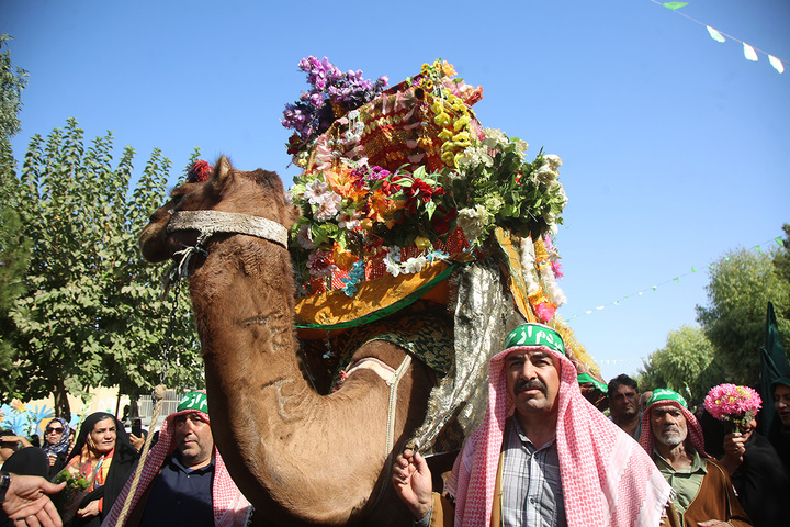 استقبال باشکوه اهالی دیار اهل بیت(ع) از کاروان نمادین ورود بانوی کرامت به قم